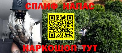 СК Гагарин