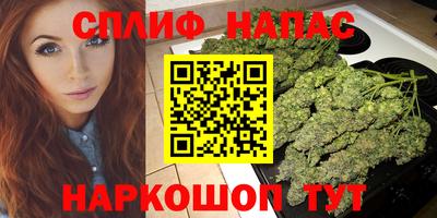 СК Гагарин