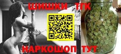 СК Гагарин