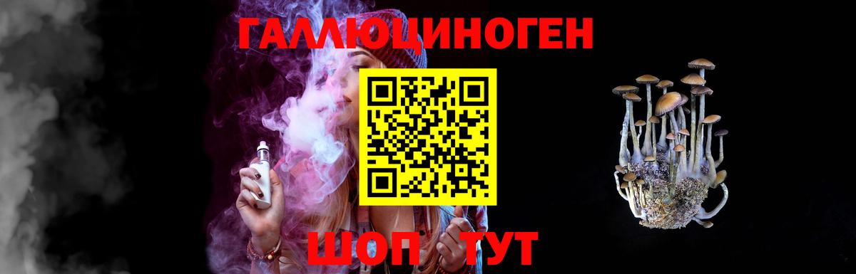 Псилоцибиновые грибы GOLDEN TEACHER  Галлюциногенные грибы мицелий  Обь  Вход с VPN 